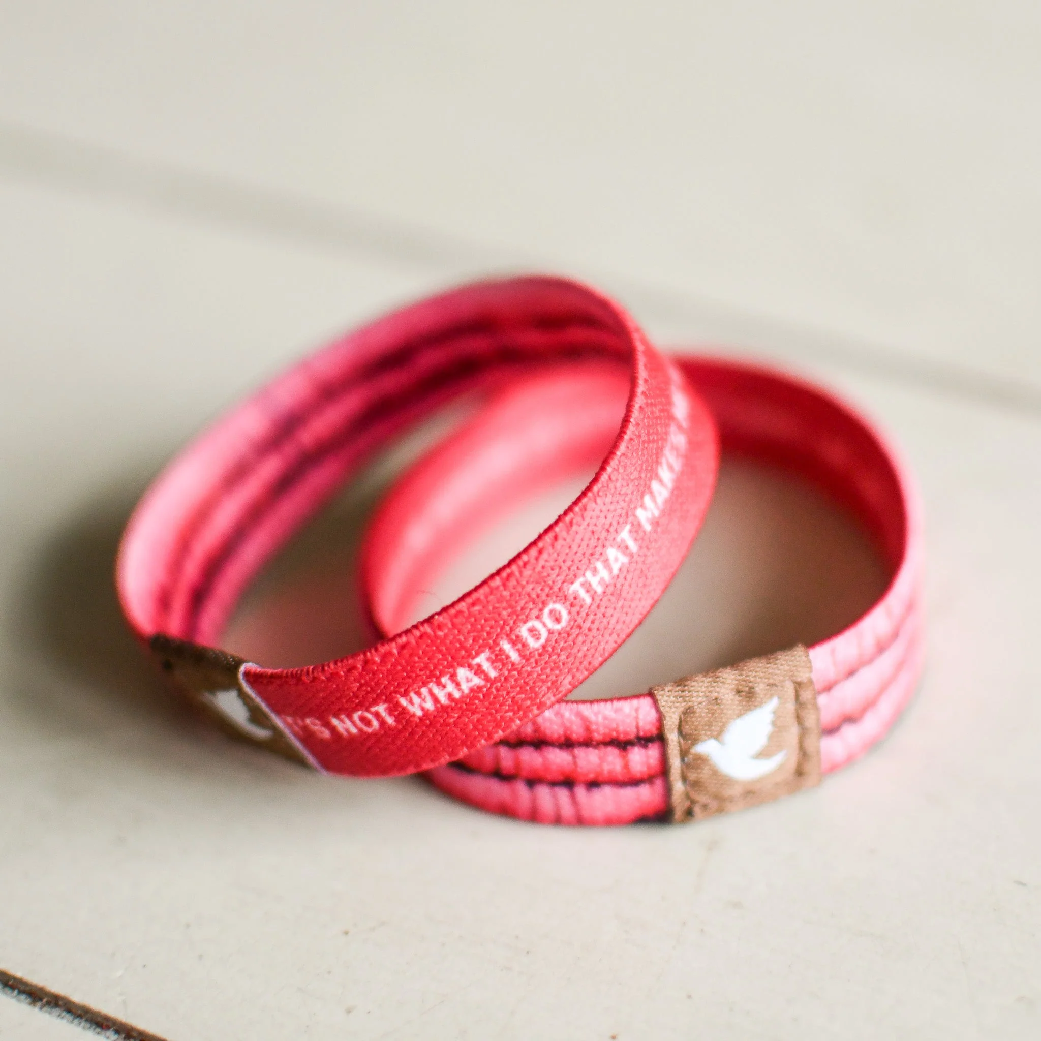 Already Worthy Kids TruthBand - Image 8