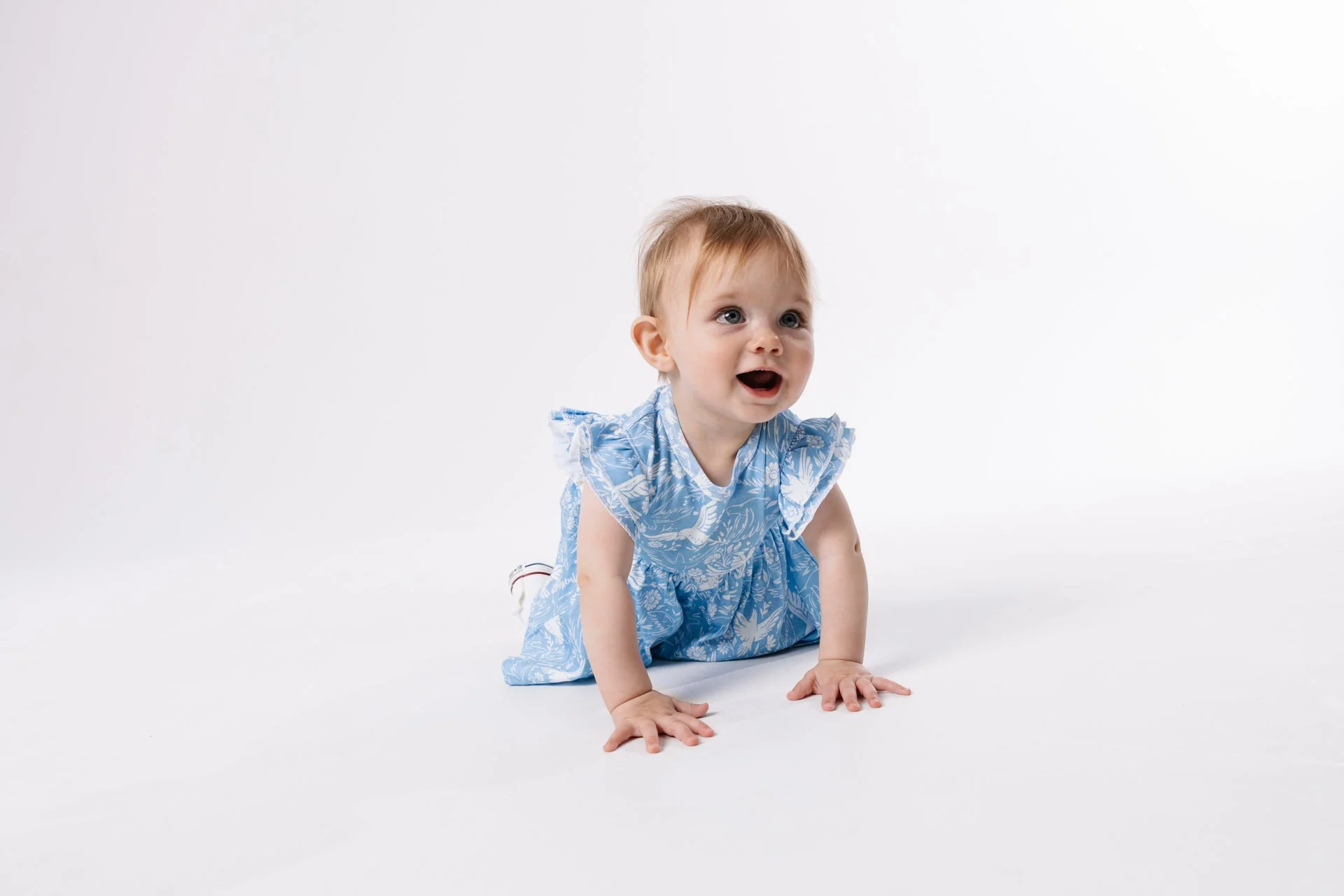 Birds of the Air Short Sleeve Twirl Dress Bodysuit Cotton - Image 4