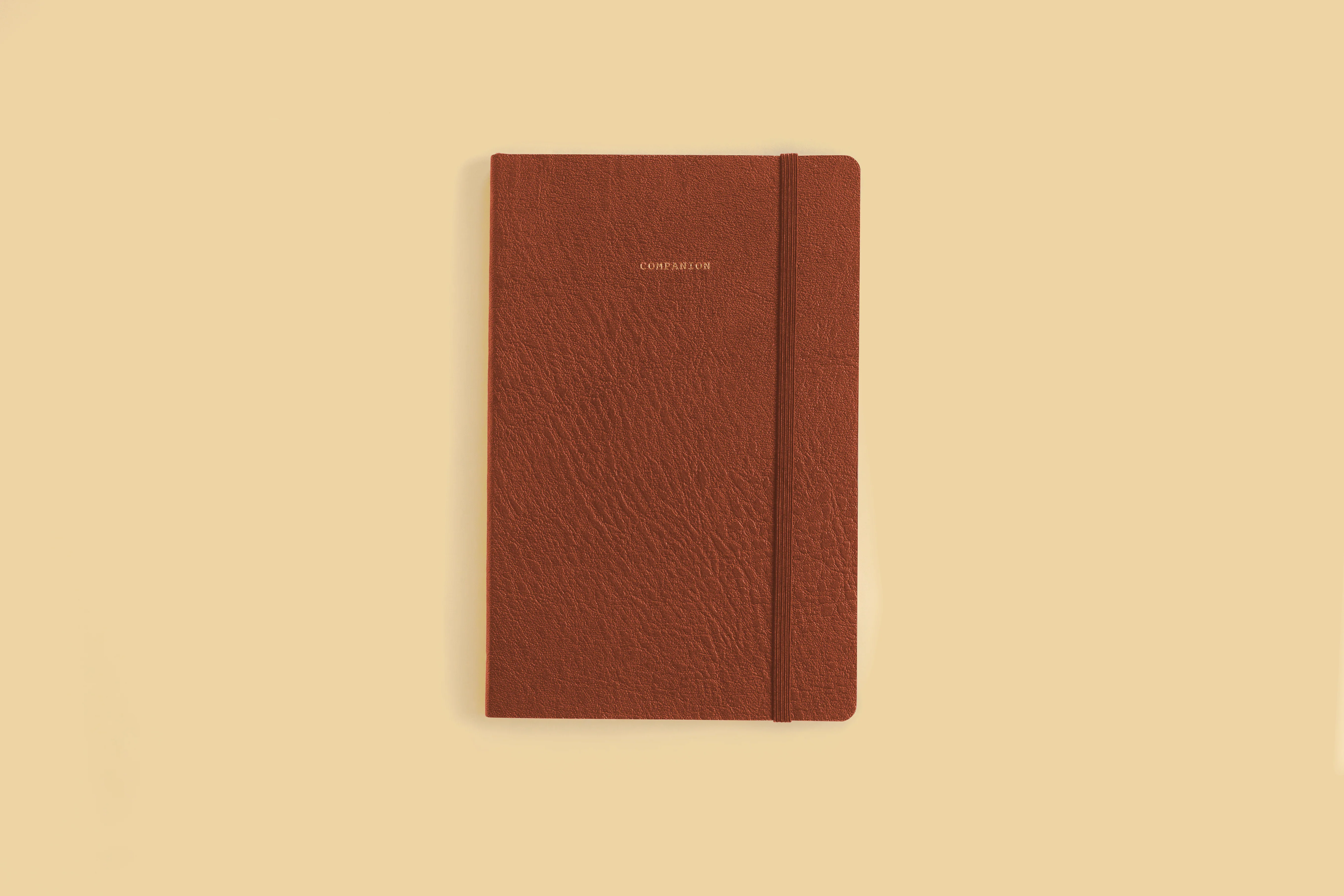 Companion Journal (Softcover) - Image 3