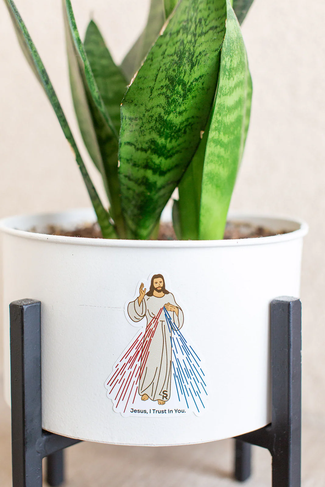 Divine Mercy Sticker 10 Pack