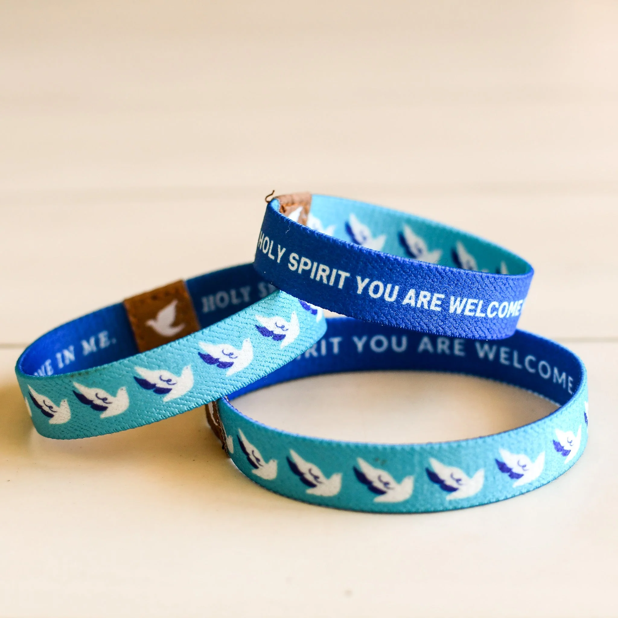 Holy Spirit TruthBands for the Family - Image 3