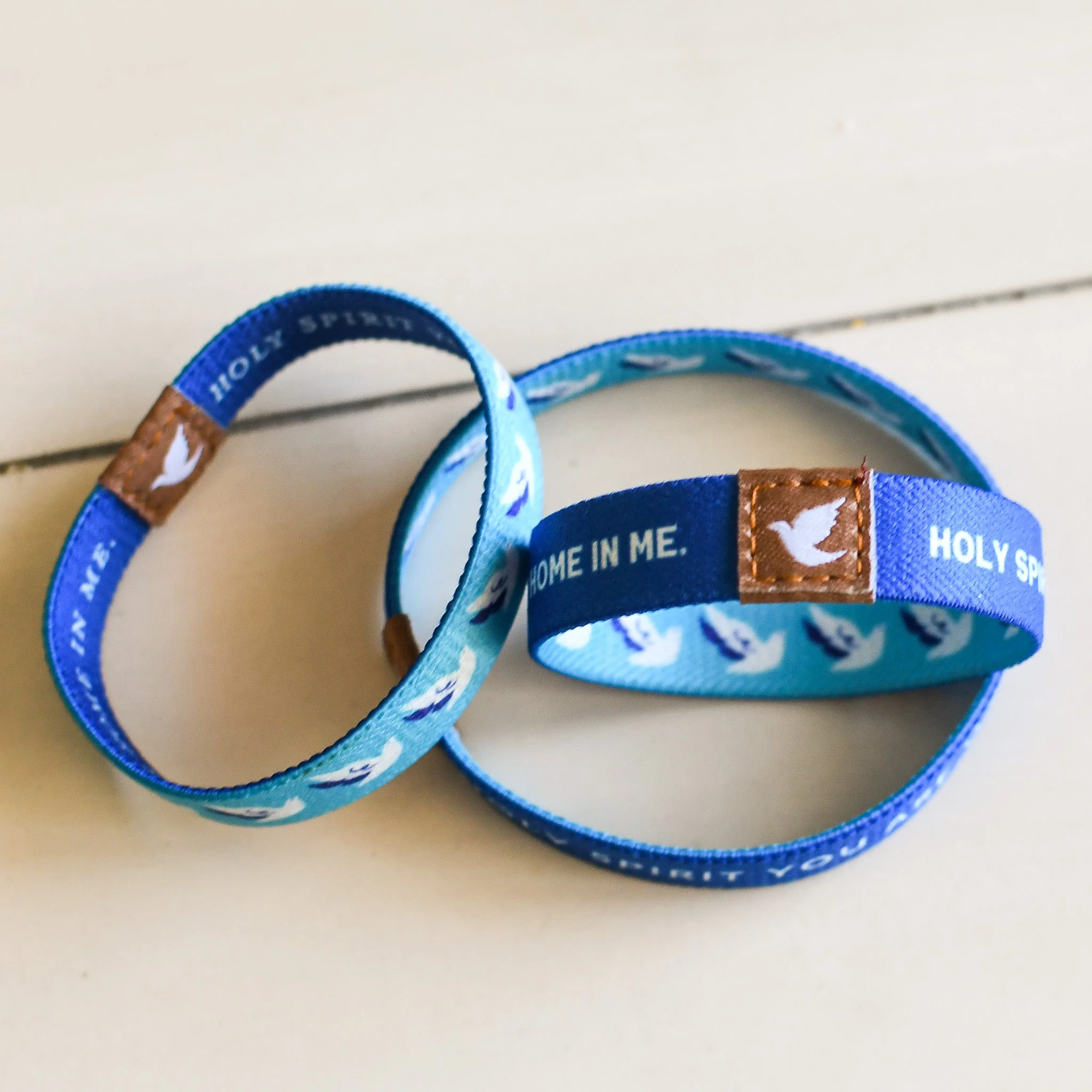 Holy Spirit TruthBands for the Family - Image 6