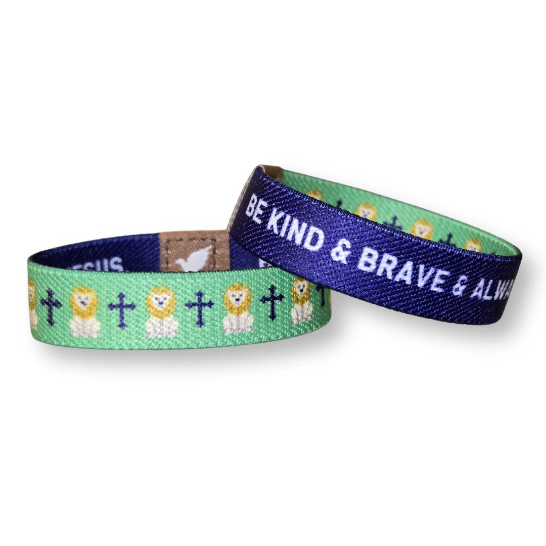 Kind and Brave Lion Kids TruthBand - Image 5