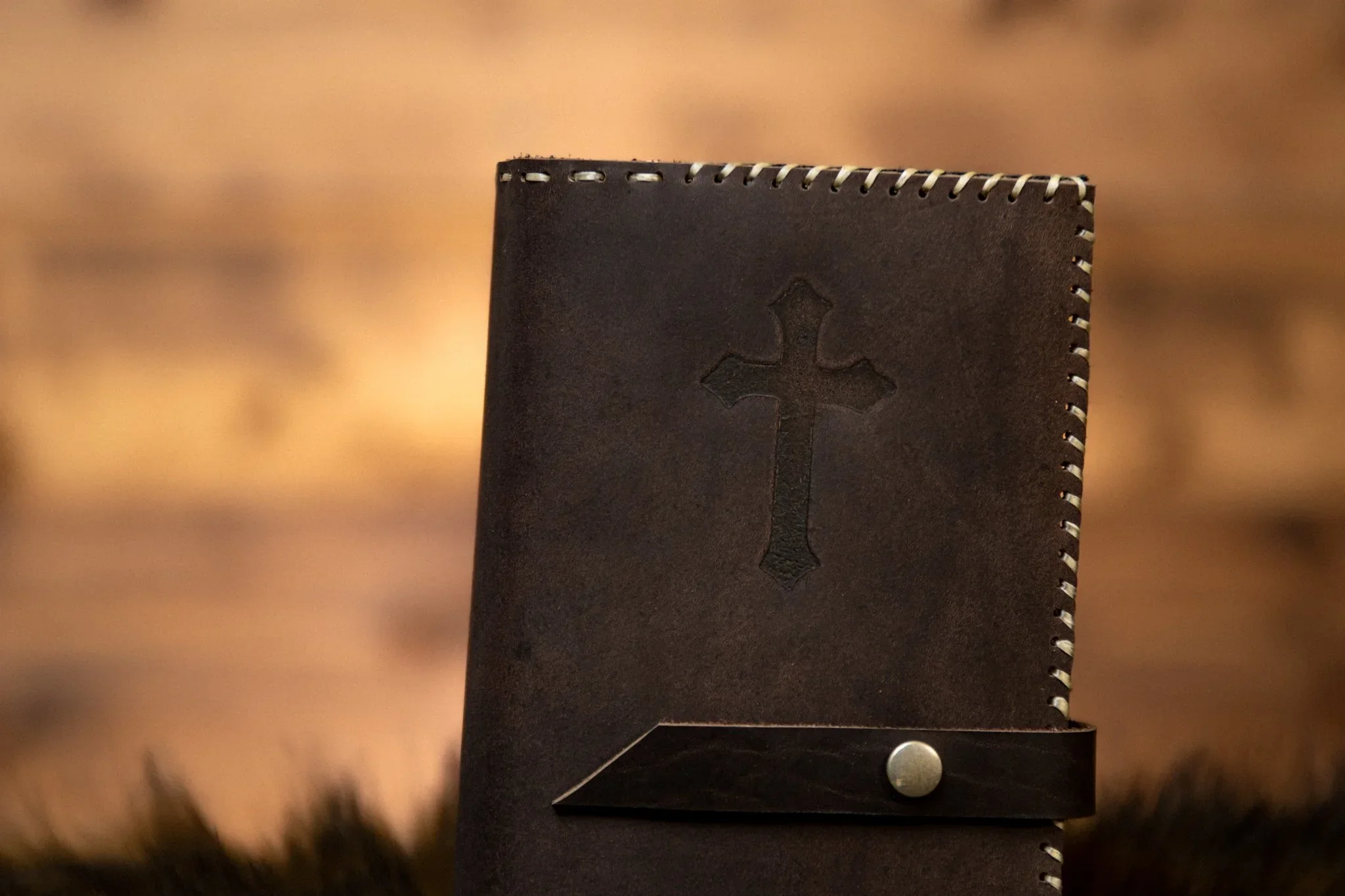 Mink Breviary Cover - Image 2