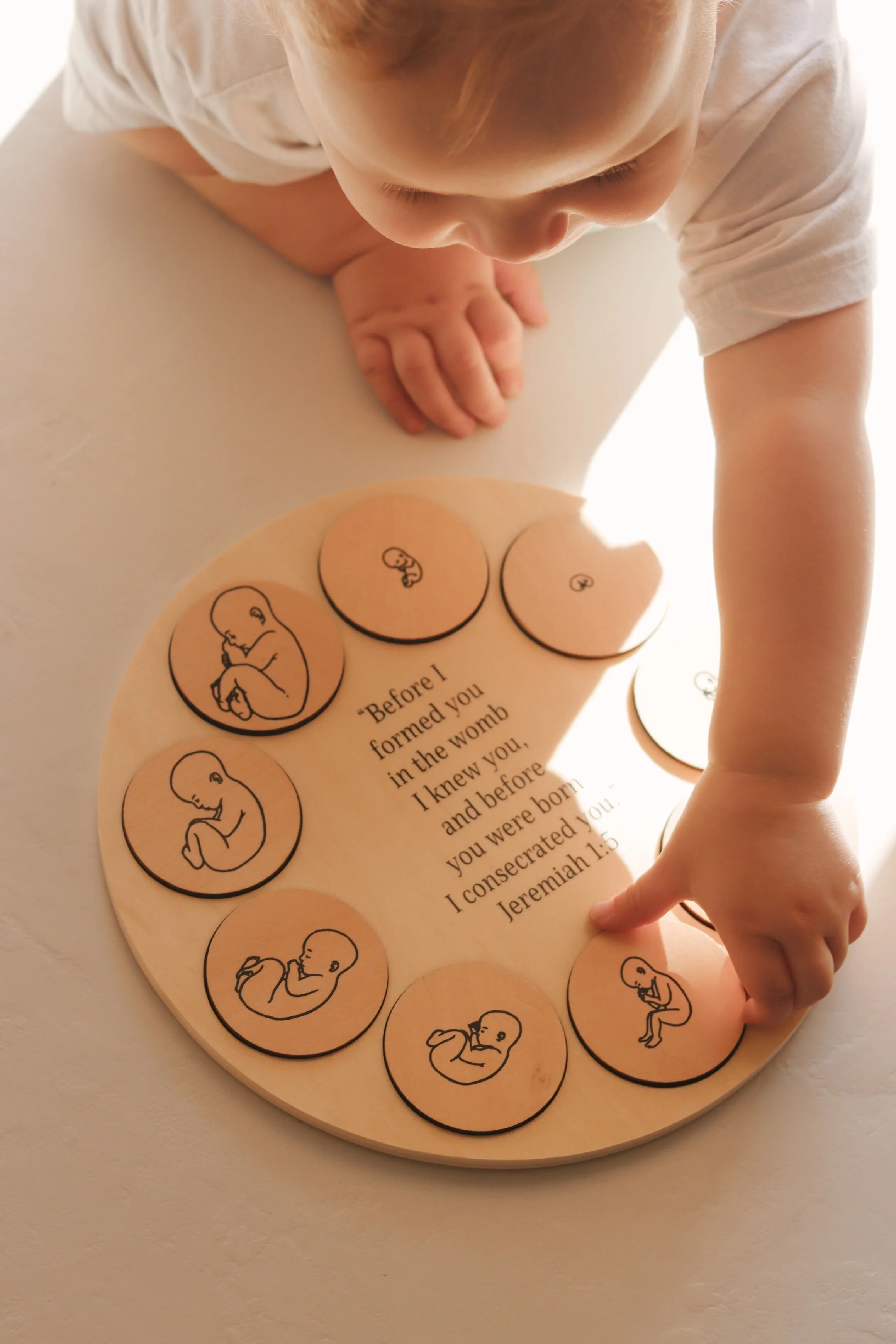 Miracle of Life Puzzle - Image 6