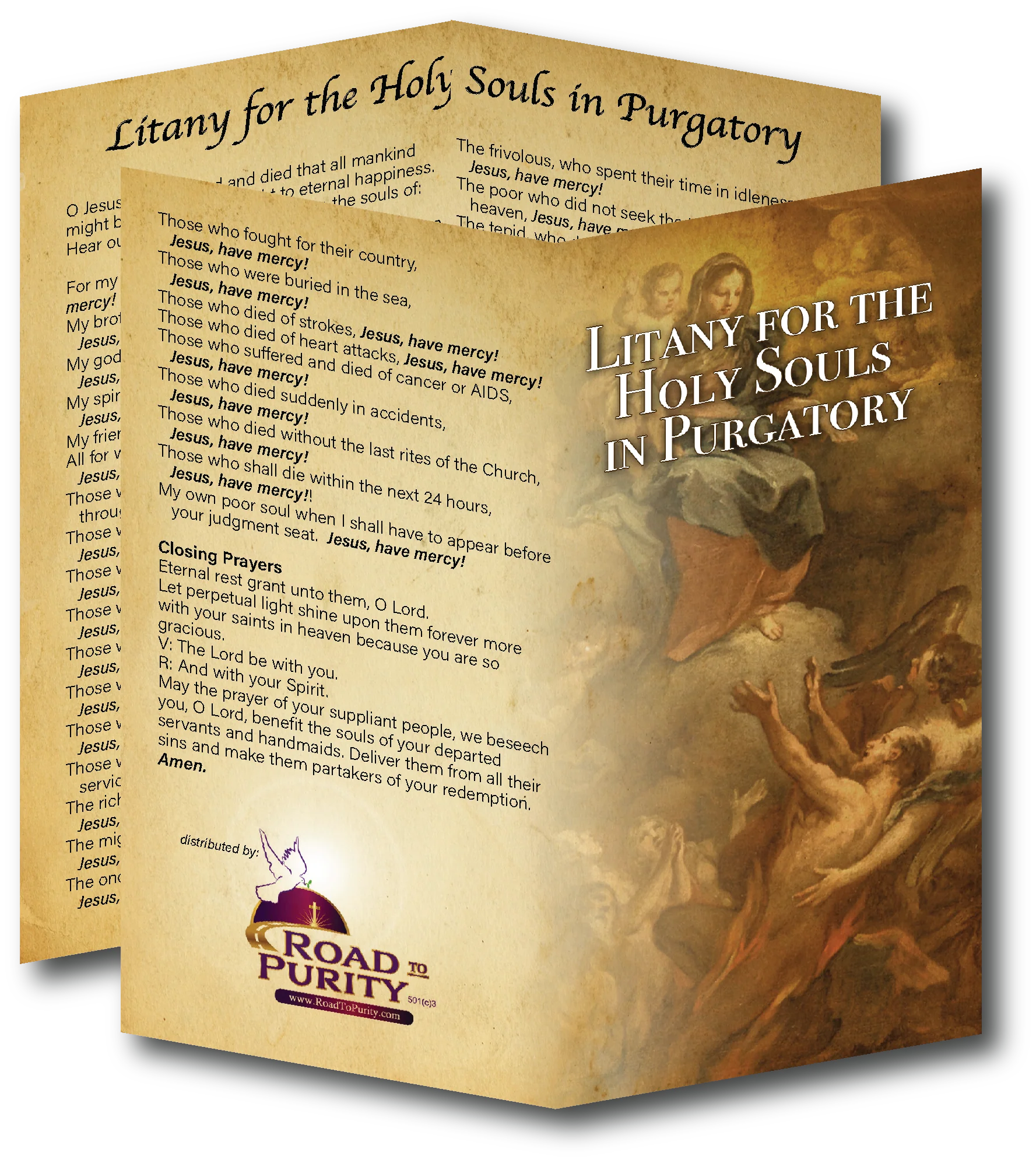 NEW! Litany for Holy Souls in Purgatory - Prayer Card / 3" x 6" folded (c)
