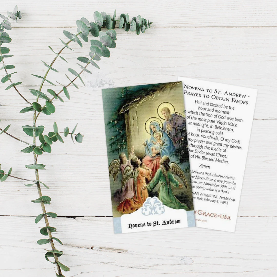 Novena to St. Andrew / Prayer to Obtain Favors Holy Card - Image 2