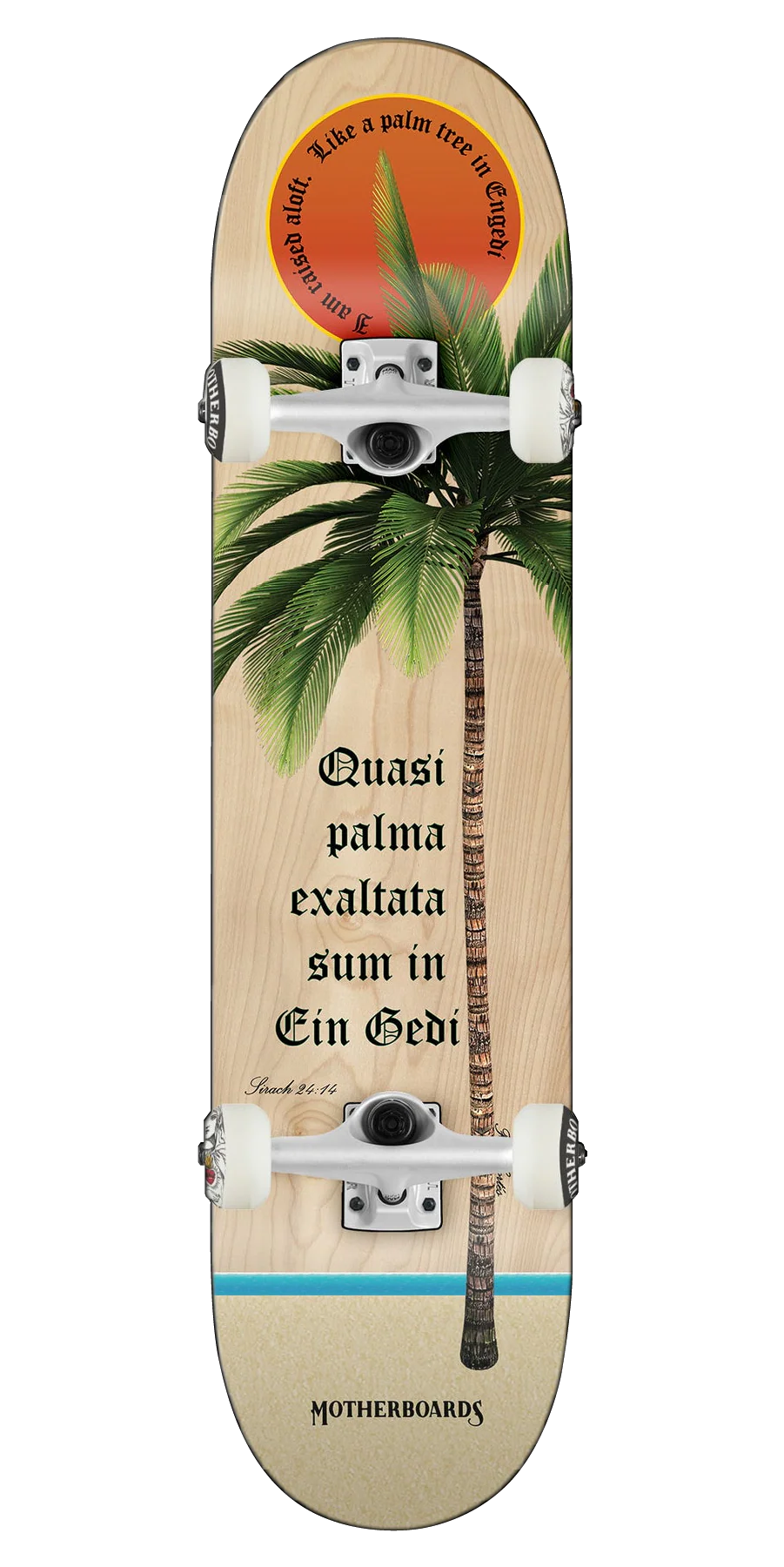 Palm Tree - Image 2