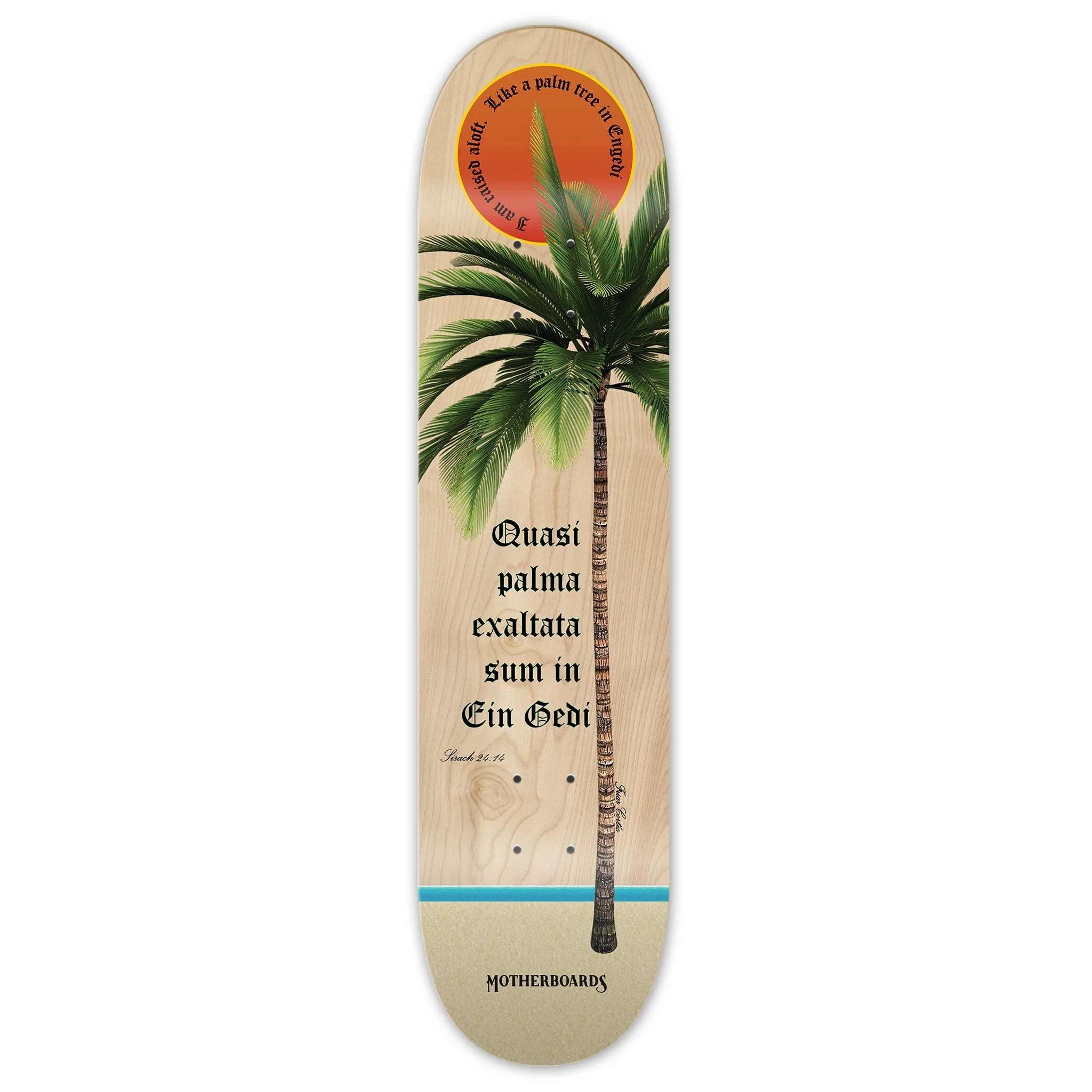 Palm Tree - Image 3