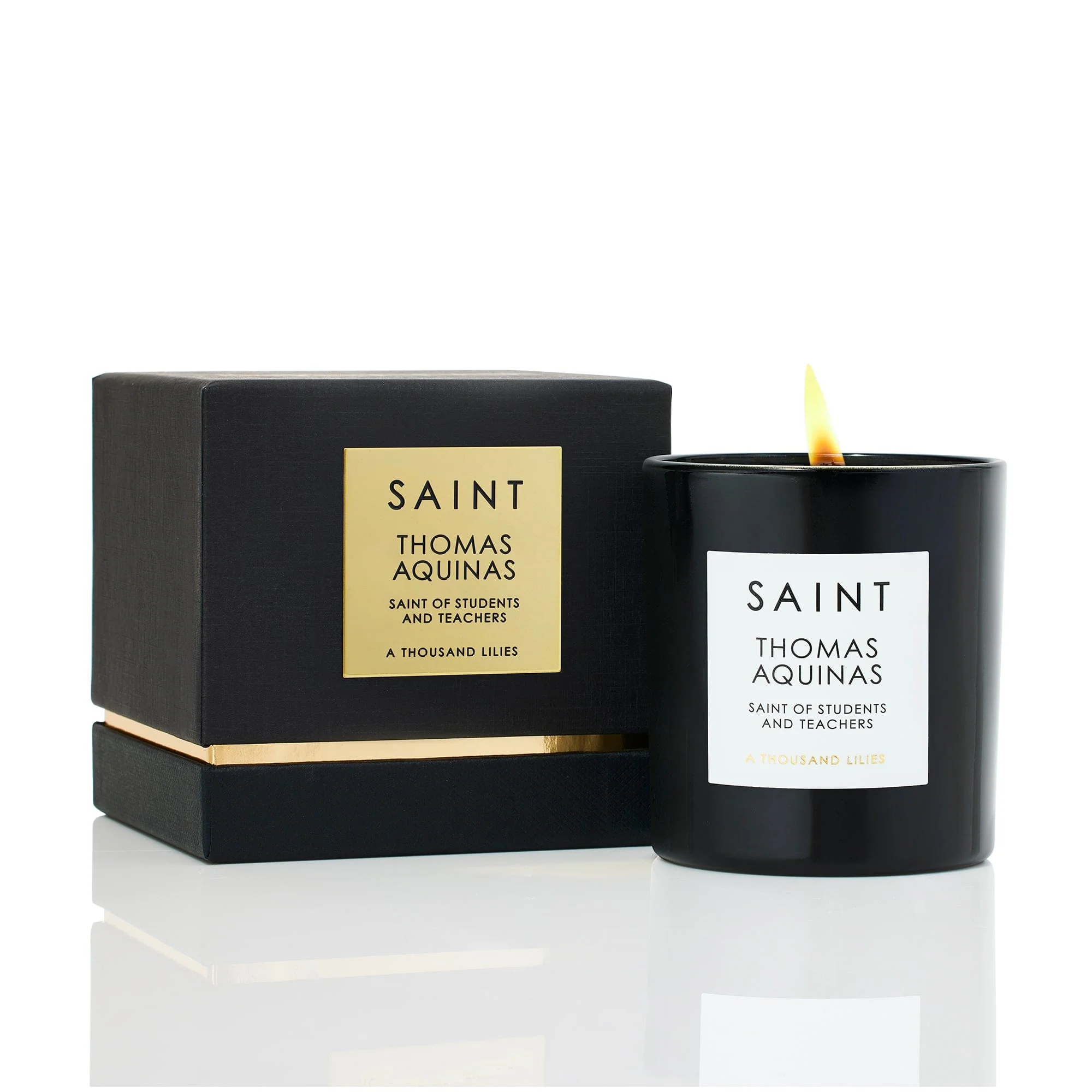 Saint Thomas Aquinas - Image 2