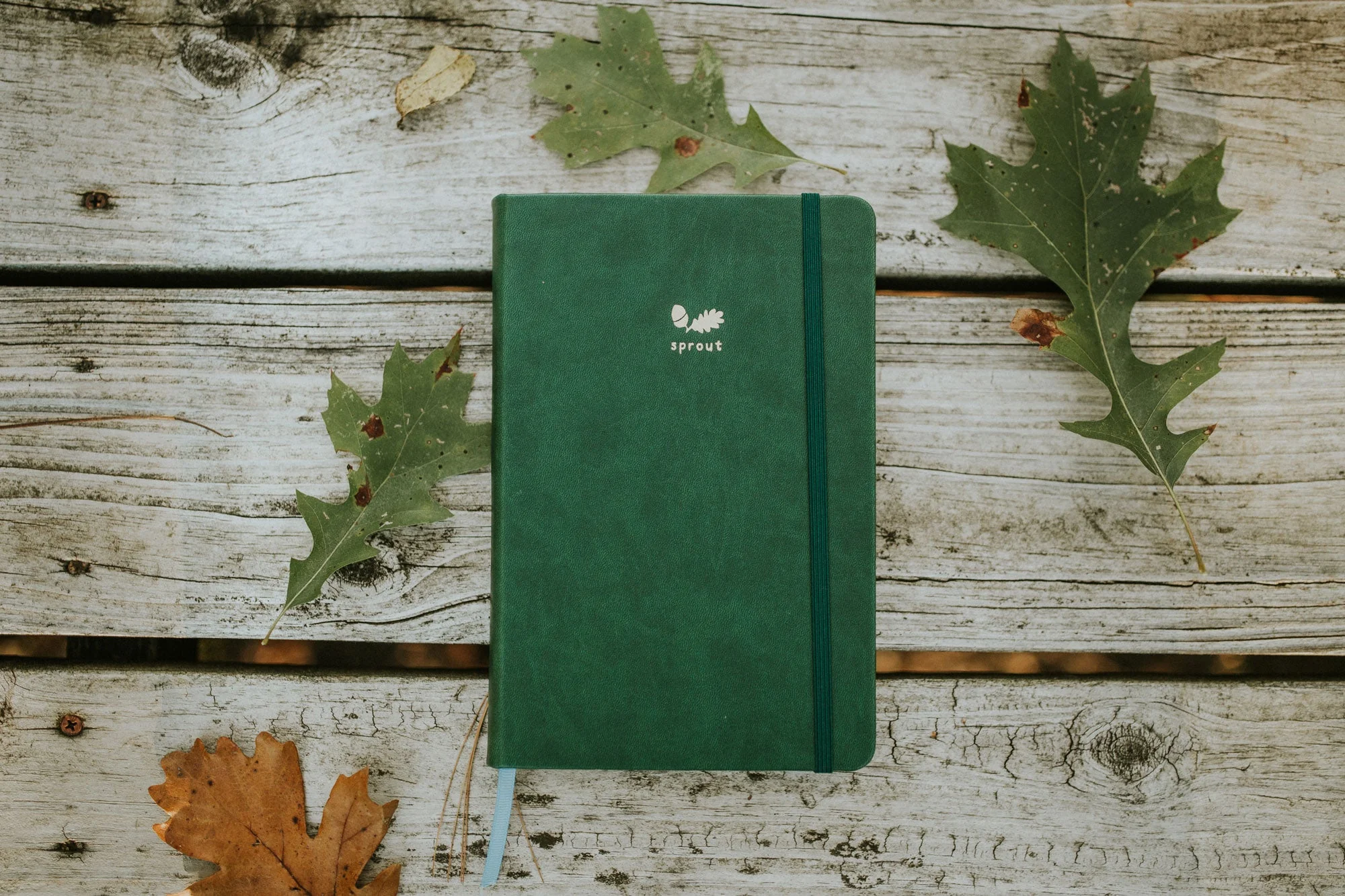 Sprout Journal for Kids - Image 2