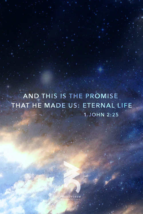 The Promise: The Reflections of Redemption - Image 9