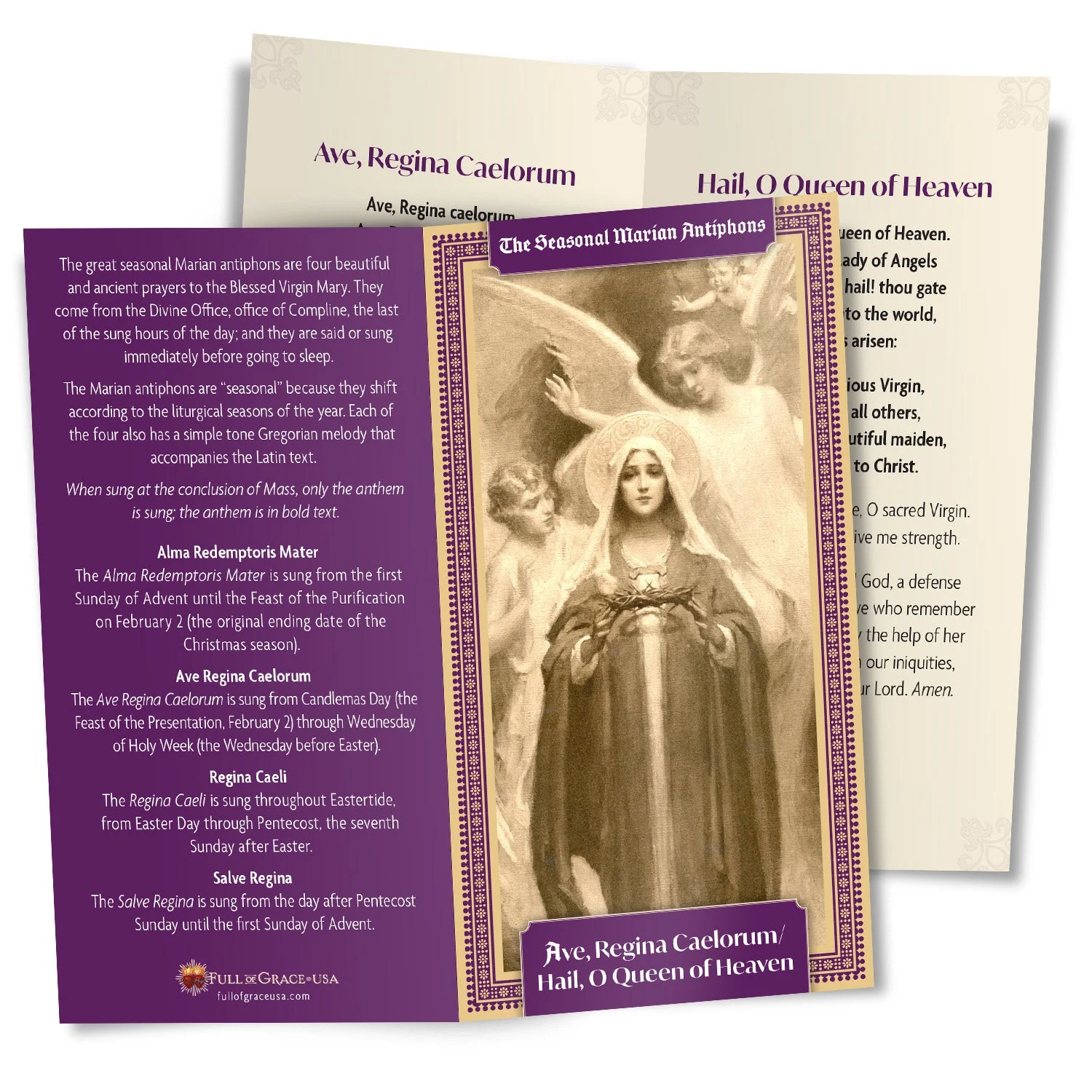 The Seasonal Marian Antiphons Set - Image 4